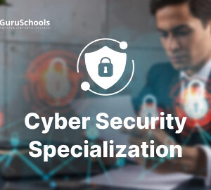 Cybersecurity Specialization in IT Audit