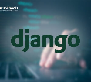 Django Full Stack Development