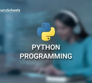 Python Programming
