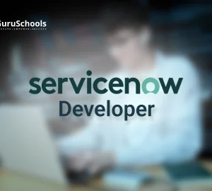 ServiceNow Developer