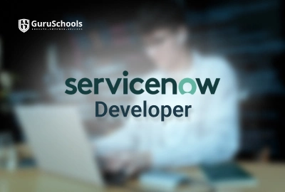 ServiceNow Developer