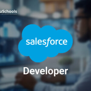 Salesforce Developer